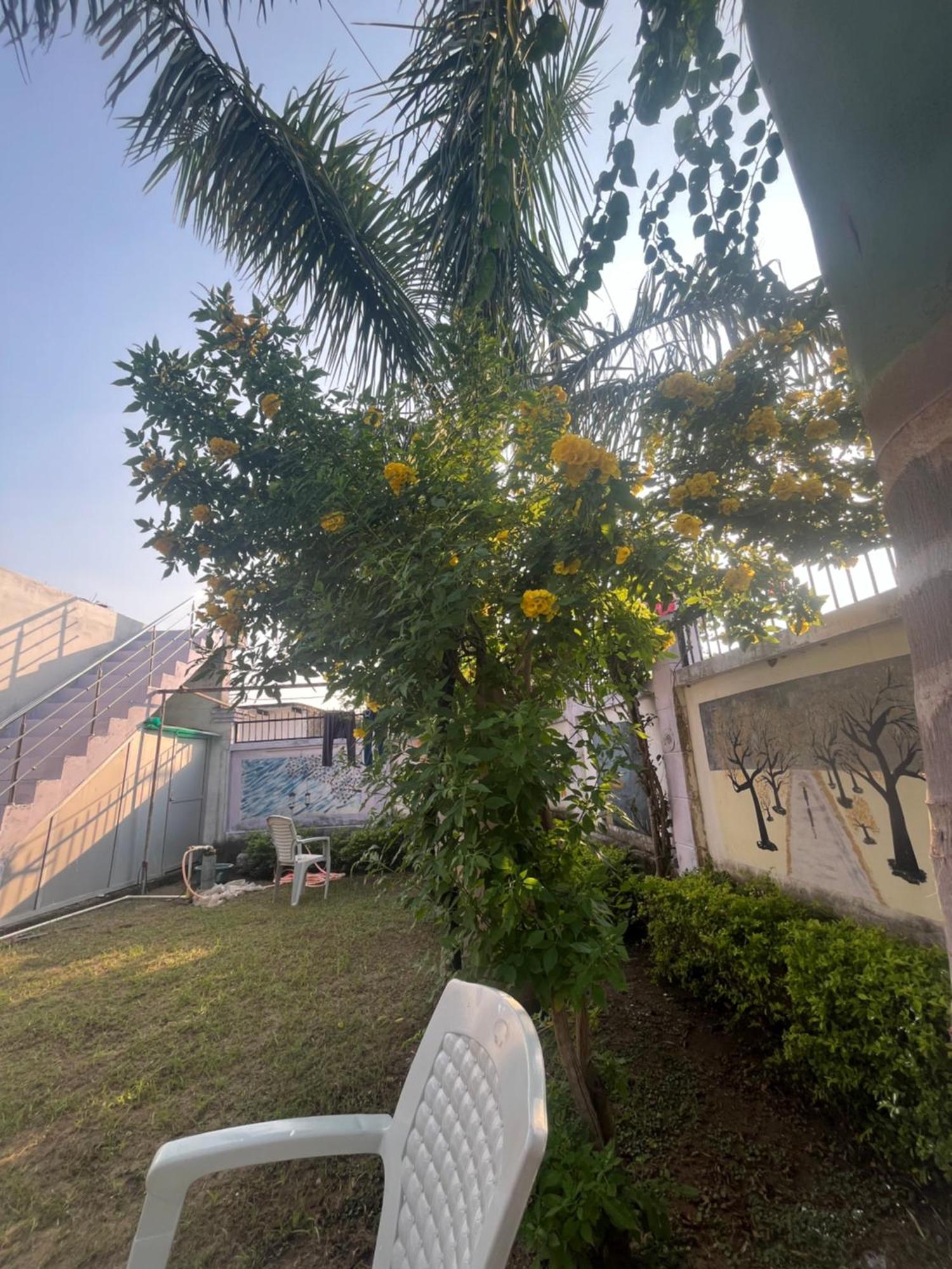 Sunrise Bed & Breakfast Khajurāho Extérieur photo