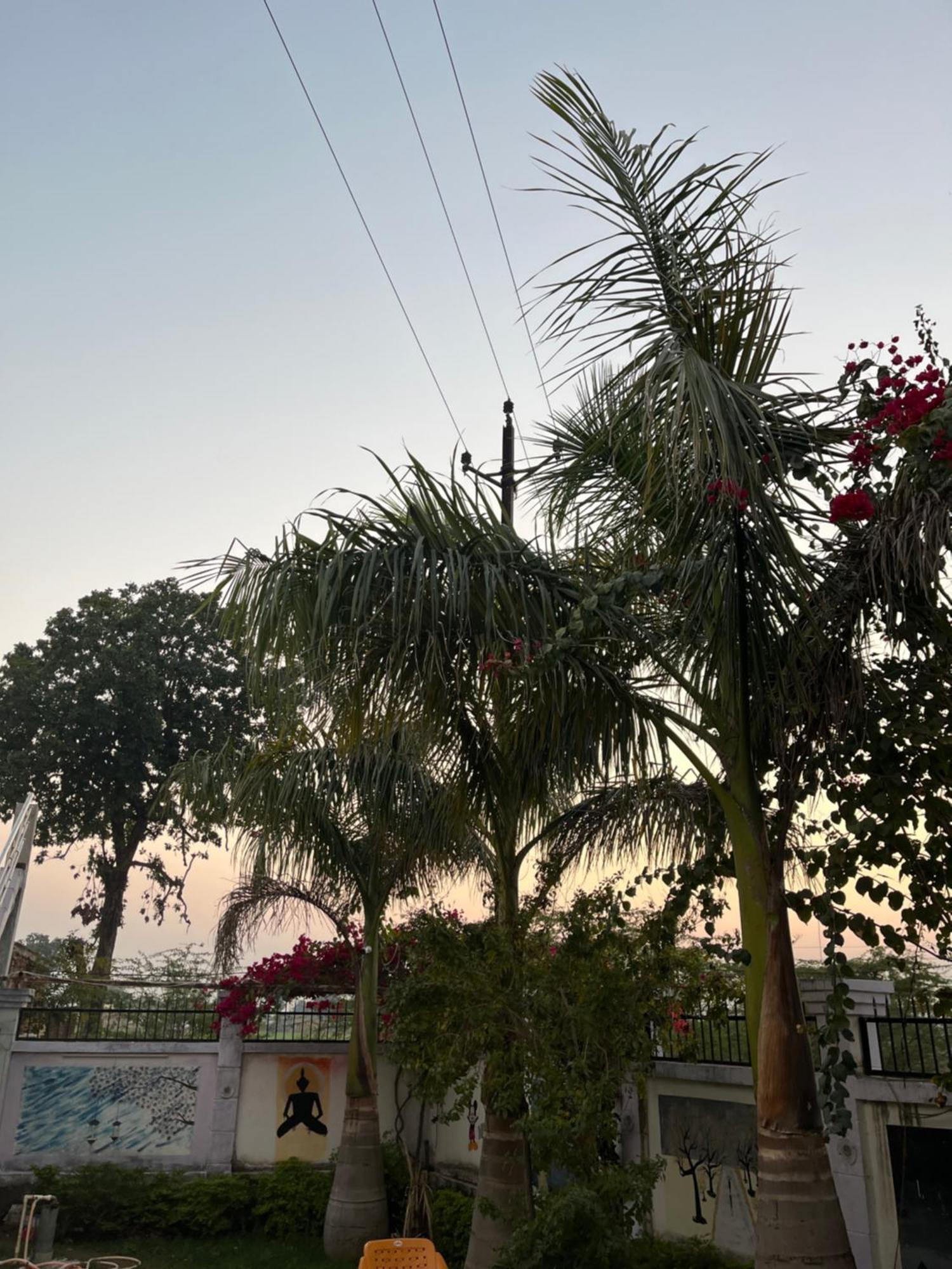 Sunrise Bed & Breakfast Khajurāho Extérieur photo